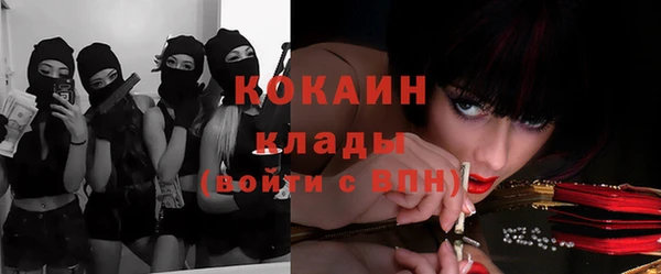 ешки Алексеевка