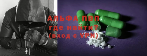 стаф Ельня