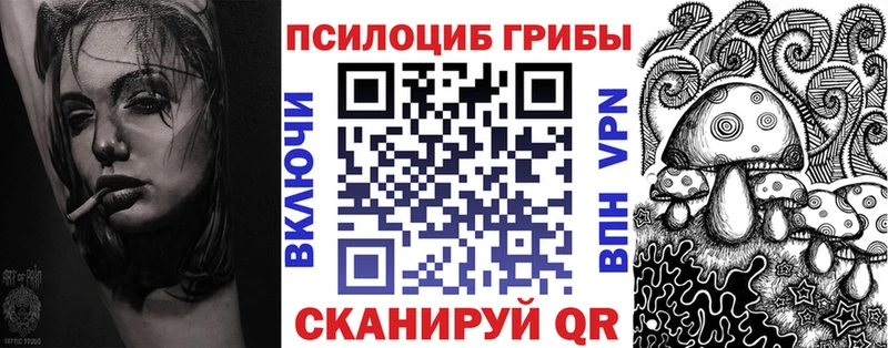 Галлюциногенные грибы Psilocybe  цена   Котельнич 